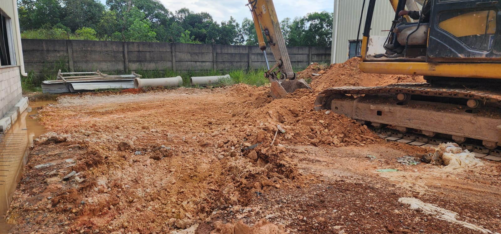 WhatsApp Image 2026-01-19 at 11.51.10 AM (1)