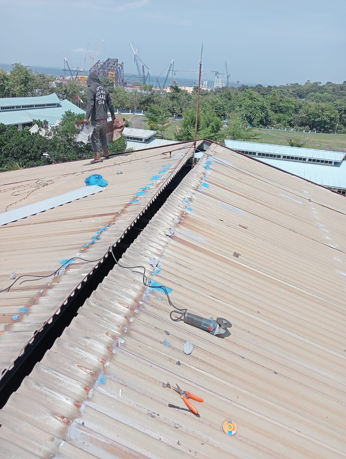 WhatsApp Image 2026-01-19 at 11.51.13 AM (1)