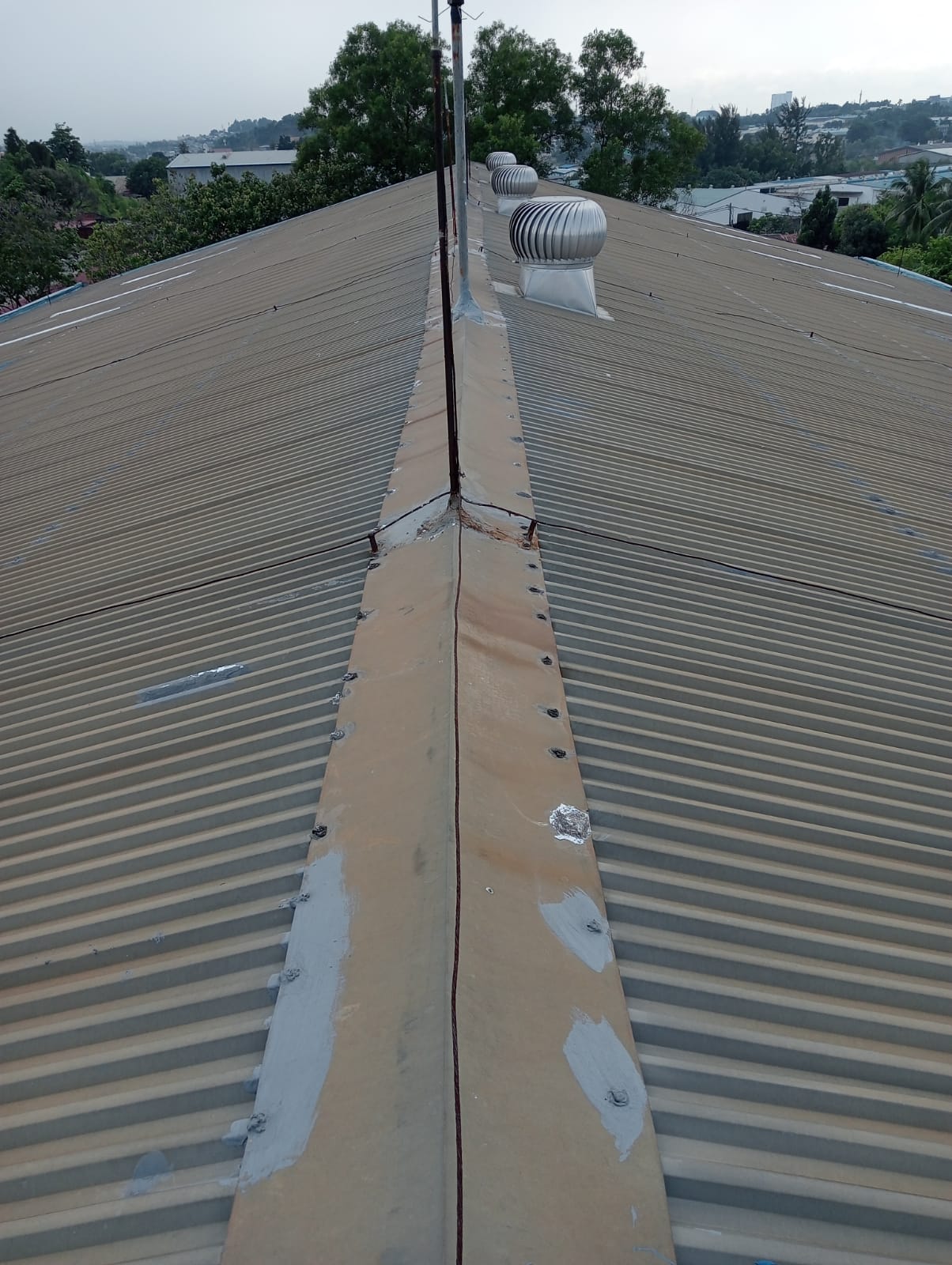 WhatsApp Image 2026-01-19 at 11.51.13 AM