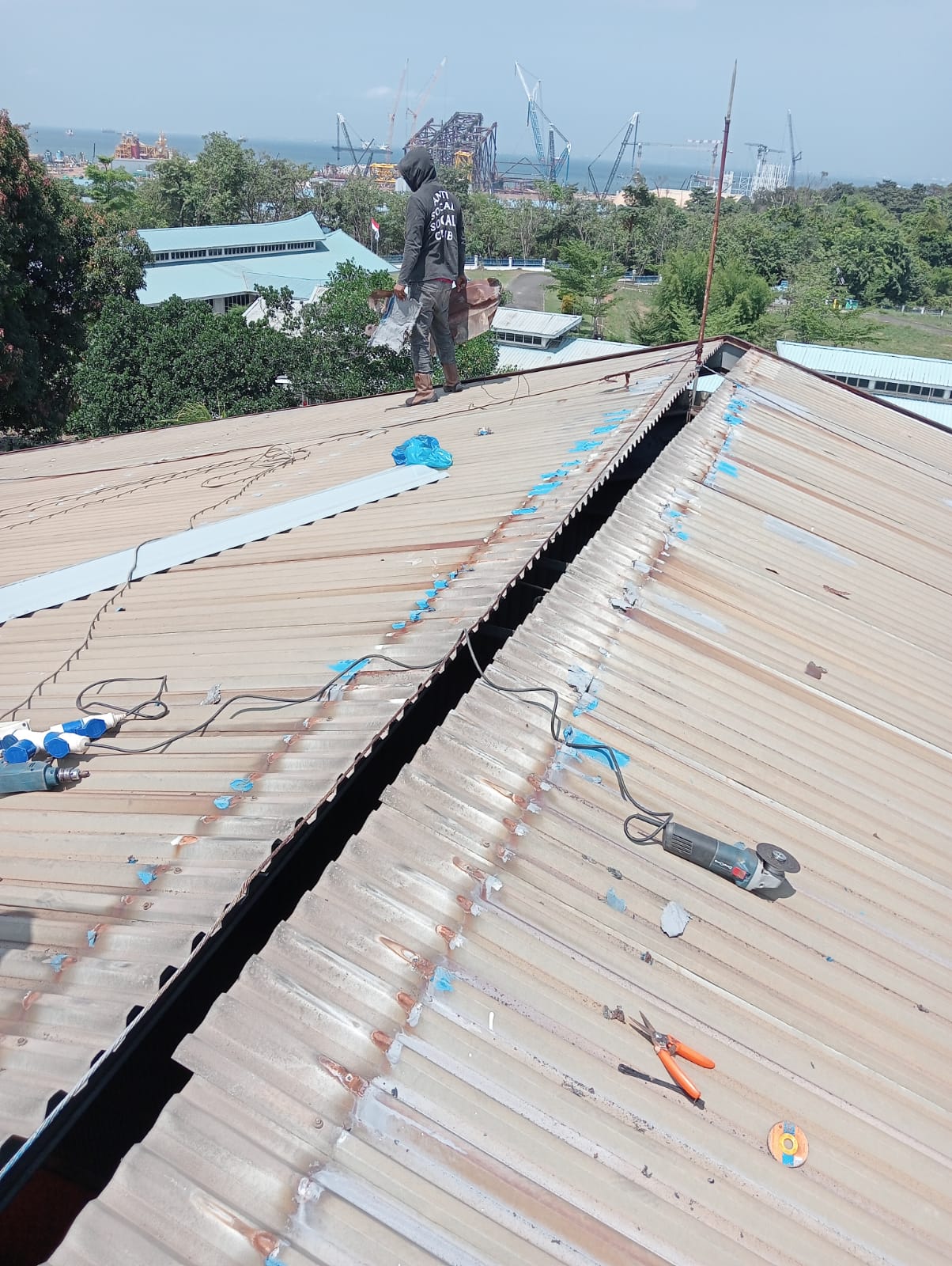 WhatsApp Image 2026-01-19 at 11.51.16 AM (1)