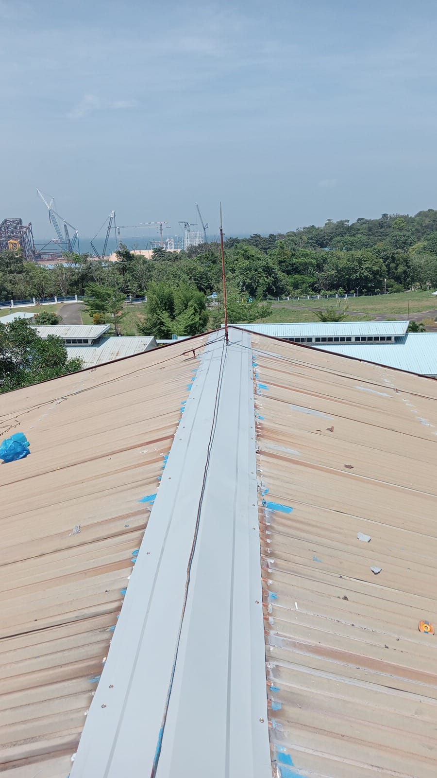 WhatsApp Image 2026-01-19 at 11.51.17 AM (1)